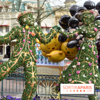 Base de données LaurentP