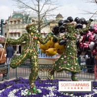 Base de données LaurentP