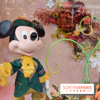 Base de données LaurentP