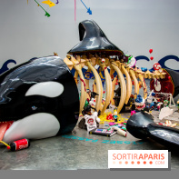 Base de données LaurentP