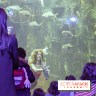 Les 60 ans de LEGO® à l'Aquarium de Paris