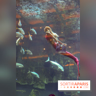 Les 60 ans de LEGO® à l'Aquarium de Paris