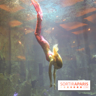 Les 60 ans de LEGO® à l'Aquarium de Paris