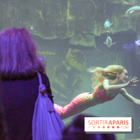 Les 60 ans de LEGO® à l'Aquarium de Paris