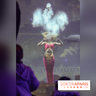 Les 60 ans de LEGO® à l'Aquarium de Paris