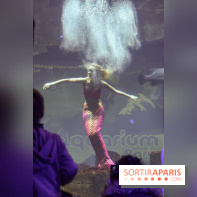 Les 60 ans de LEGO® à l'Aquarium de Paris