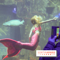 Les 60 ans de LEGO® à l'Aquarium de Paris