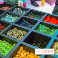 Les 60 ans de LEGO® à l'Aquarium de Paris