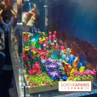 Les 60 ans de LEGO® à l'Aquarium de Paris