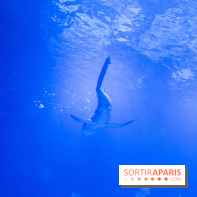 Les 60 ans de LEGO® à l'Aquarium de Paris