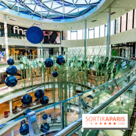 Exposition Monstera Dubia à Beaugrenelle