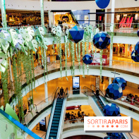 Exposition Monstera Dubia à Beaugrenelle