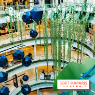 Exposition Monstera Dubia à Beaugrenelle