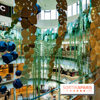 Exposition Monstera Dubia à Beaugrenelle