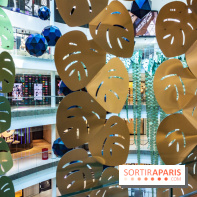 Exposition Monstera Dubia à Beaugrenelle