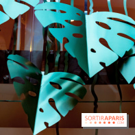 Exposition Monstera Dubia à Beaugrenelle