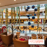 Exposition Monstera Dubia à Beaugrenelle