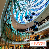 Exposition Monstera Dubia à Beaugrenelle