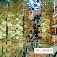 Exposition Monstera Dubia à Beaugrenelle