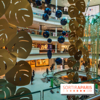 Exposition Monstera Dubia à Beaugrenelle