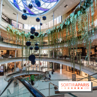 Exposition Monstera Dubia à Beaugrenelle