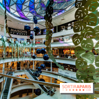 Exposition Monstera Dubia à Beaugrenelle