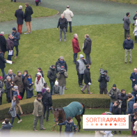 Les Dimanches au Galop 2018