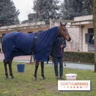 Les Dimanches au Galop 2018