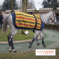 Les Dimanches au Galop 2018