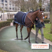 Les Dimanches au Galop 2018