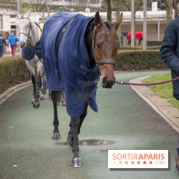 Les Dimanches au Galop 2018