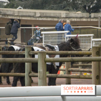 Les Dimanches au Galop 2018