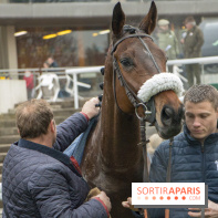 Les Dimanches au Galop 2018