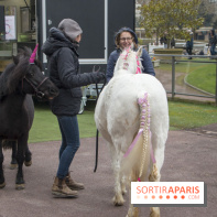 Les Dimanches au Galop 2018