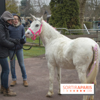 Les Dimanches au Galop 2018