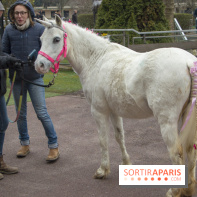 Les Dimanches au Galop 2018