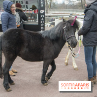 Les Dimanches au Galop 2018