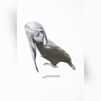 Circulation(s) 2018, festival photographique au 104