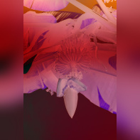 Circulation(s) 2018, festival photographique au 104