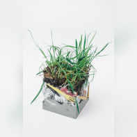 Circulation(s) 2018, festival photographique au 104