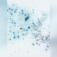 Circulation(s) 2018, festival photographique au 104