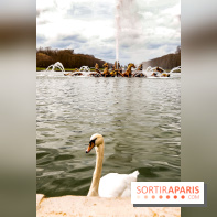 Les Grandes Eaux Musicales 2018 au Château de Versailles