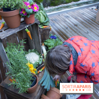 Chasse aux oeufs de Pâques Pierre Lapin au BHV Marais : les photos