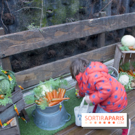 Chasse aux oeufs de Pâques Pierre Lapin au BHV Marais : les photos