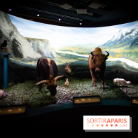 Exposition Néanderthal au Musée de l'Homme