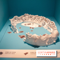 Exposition Néanderthal au Musée de l'Homme