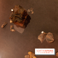 Exposition Néanderthal au Musée de l'Homme