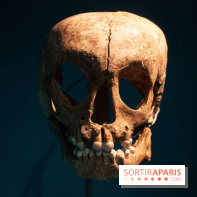 Exposition Néanderthal au Musée de l'Homme