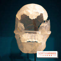 Exposition Néanderthal au Musée de l'Homme