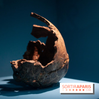 Exposition Néanderthal au Musée de l'Homme